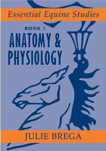 Anatomy & Physiology (Essential Equine Studies 1)