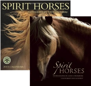 Tony Stromberg Spirit Horses Book Amp Calendar Bundle