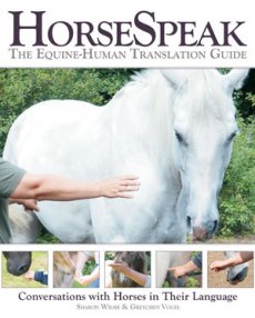 Horse Speak: Equine-Human Translation Guide