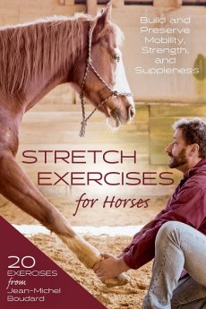 Stretch Exercises for Horses: Build and Preserve Mobility, Strength, and Suppleness