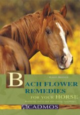 Bach Flower Remendies for your Horse