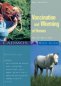 Vaccination and Worming of Horses: What You Need to Know