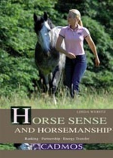Horse Sense and Horsemanship: Rankings, Partnership, Energy Transfer