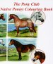 Native Ponies Colouring Book